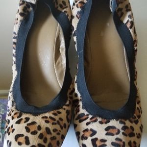 Franco Sarto leopard wedges.